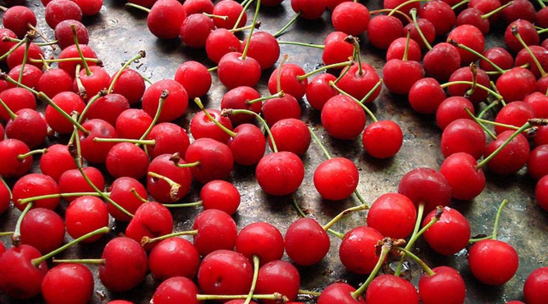 Tak Cuma Cokelat, 7 Makanan Ini Juga Bisa Meningkatkan Mood
