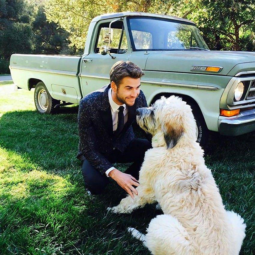 Instagram.com/liamhemsworth