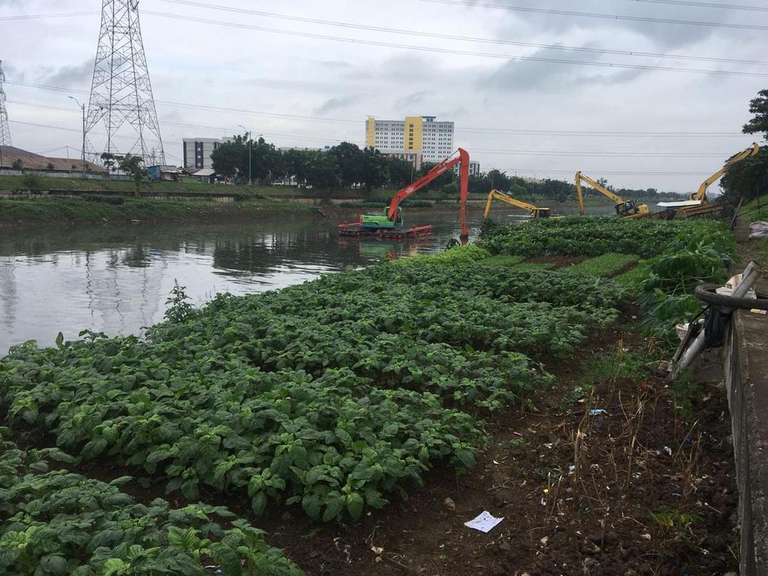 Bercocok Tanam di Balik Ancaman Banjir Jakarta Ala Warga Kampung Rawa Bebek