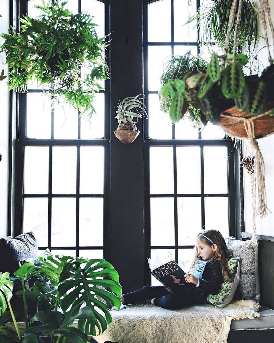 plantsrooms.tumblr.com