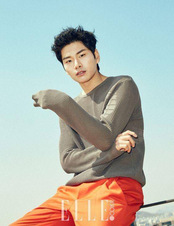 elle.co.kr