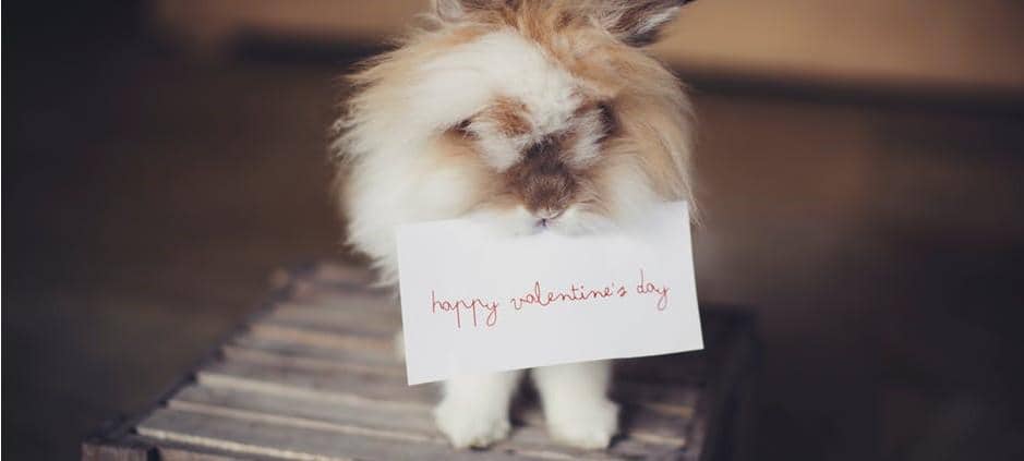 Ini 6 Bedanya Ngasih Kado Valentine Buat Introvert & Ekstrovert