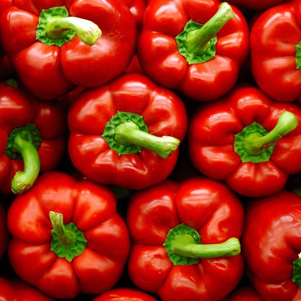 aubergines.com