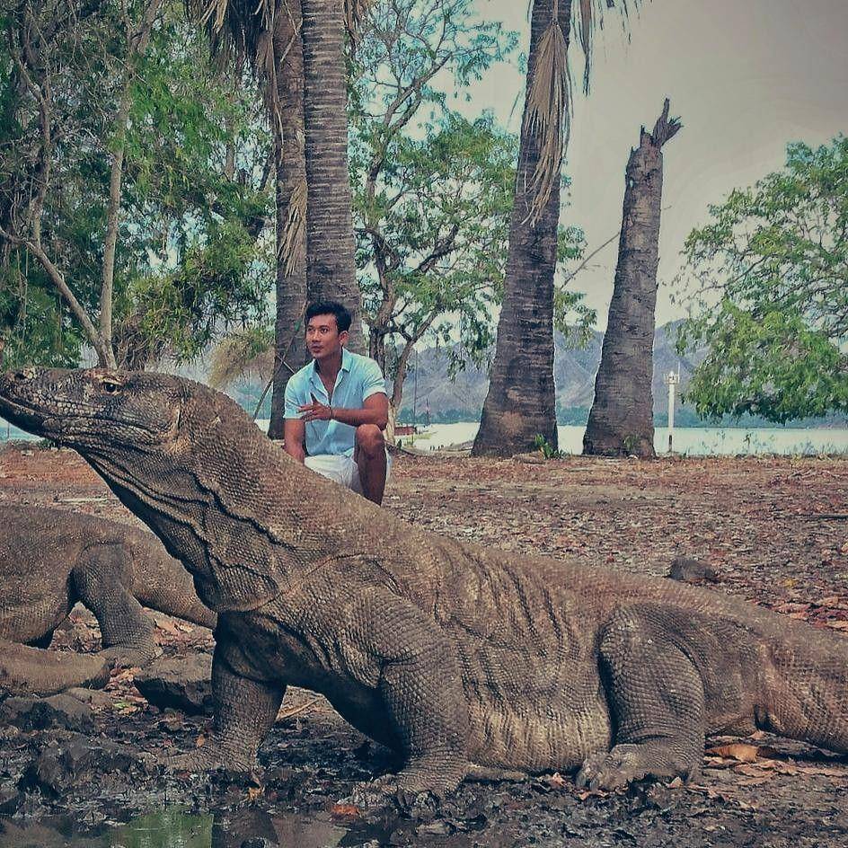 Instagram.com/sumargodenny