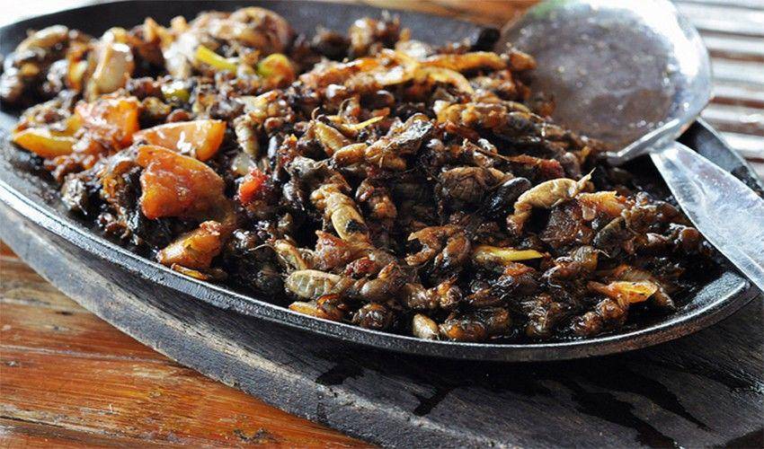 philippinesfoodrecipes.wordpress.com