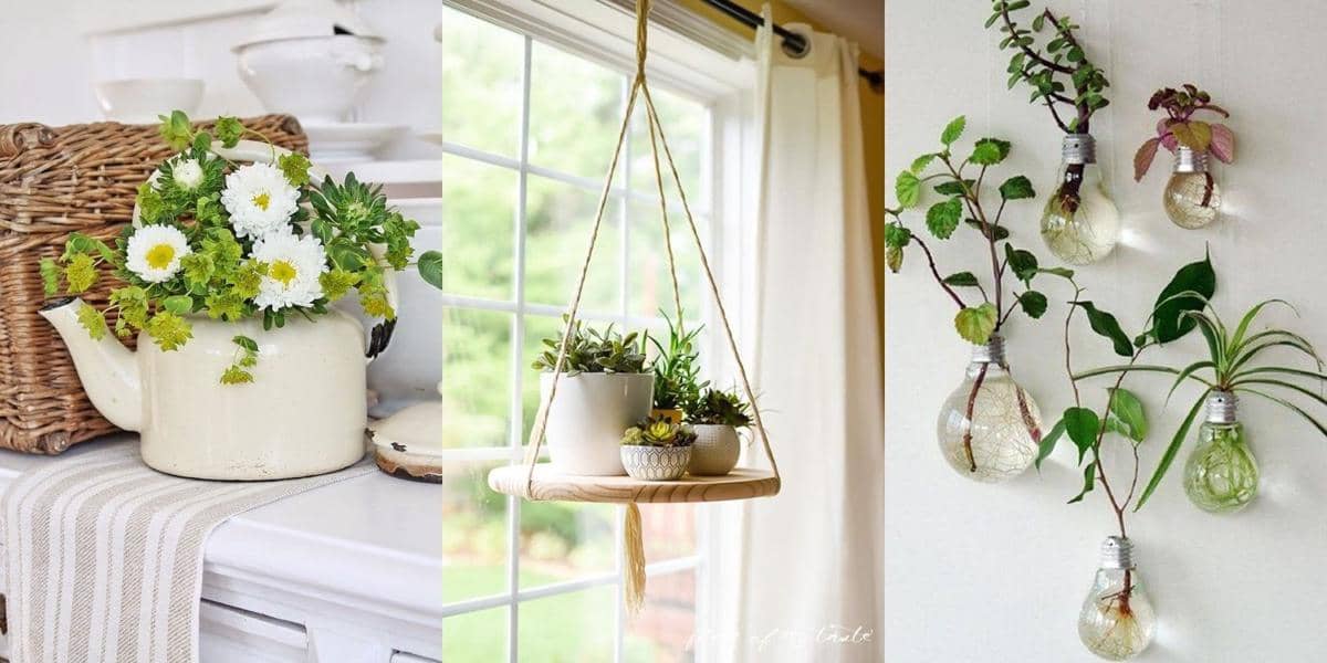 Kreatif! 10 Display Tanaman yang Bisa Jadi Dekorasi Unik Rumahmu