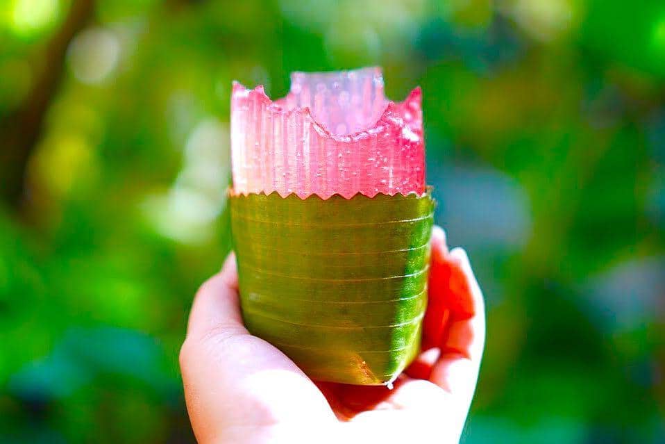 Kenalkan Ello Jello, Gelas Karya Anak Bangsa yang Bisa Dimakan!