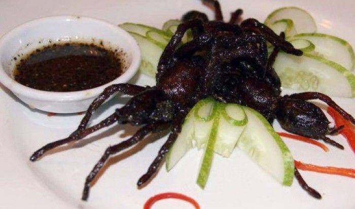 food.ndtv.com