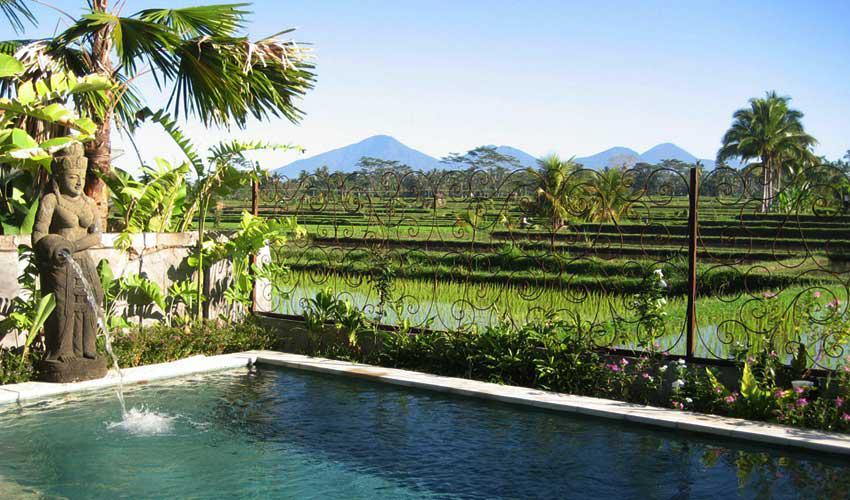 6 Cara Memilih Penginapan Murah di Ubud Bali