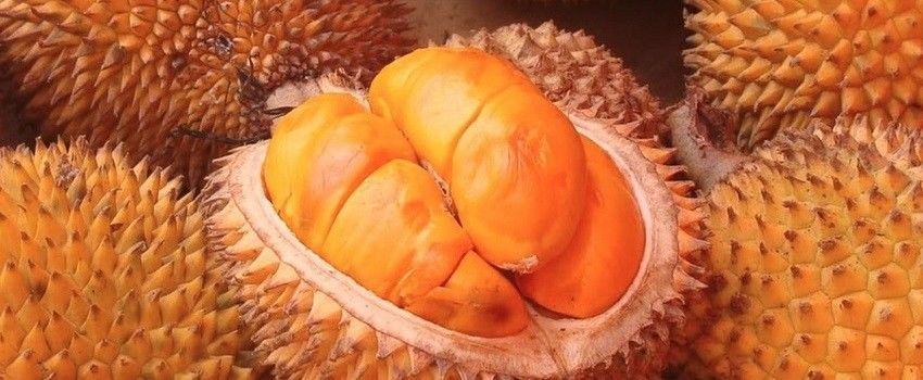 Langka, 5 Buah Endemik Sehat Ini Bisa Jadi Pengganti Camilan Lho