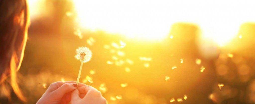 Positive Psychology Program