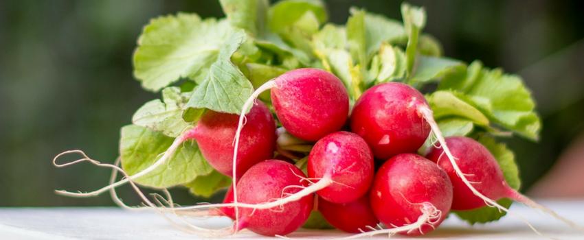 Jangan Dibuang, Bagian Buah dan Sayur Ini Banyak Manfaatnya Lho