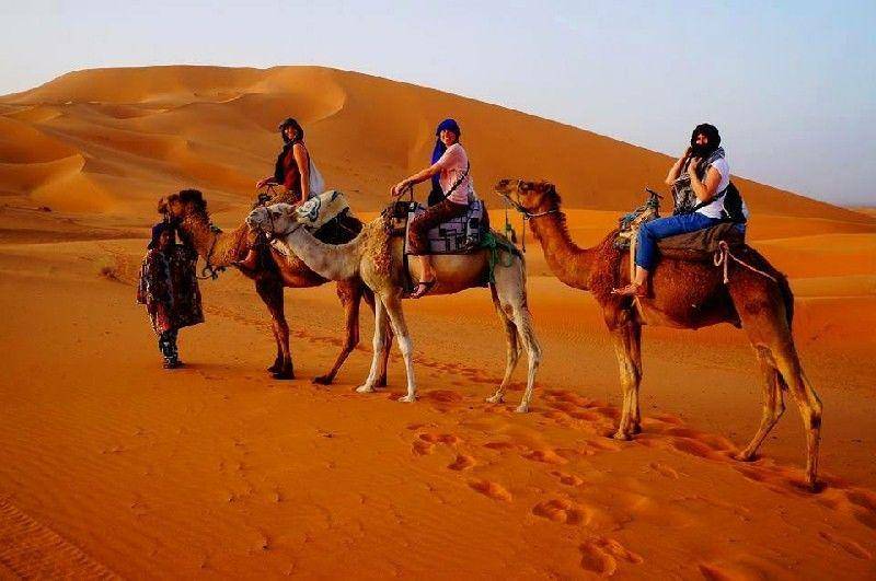 safaridesert.com