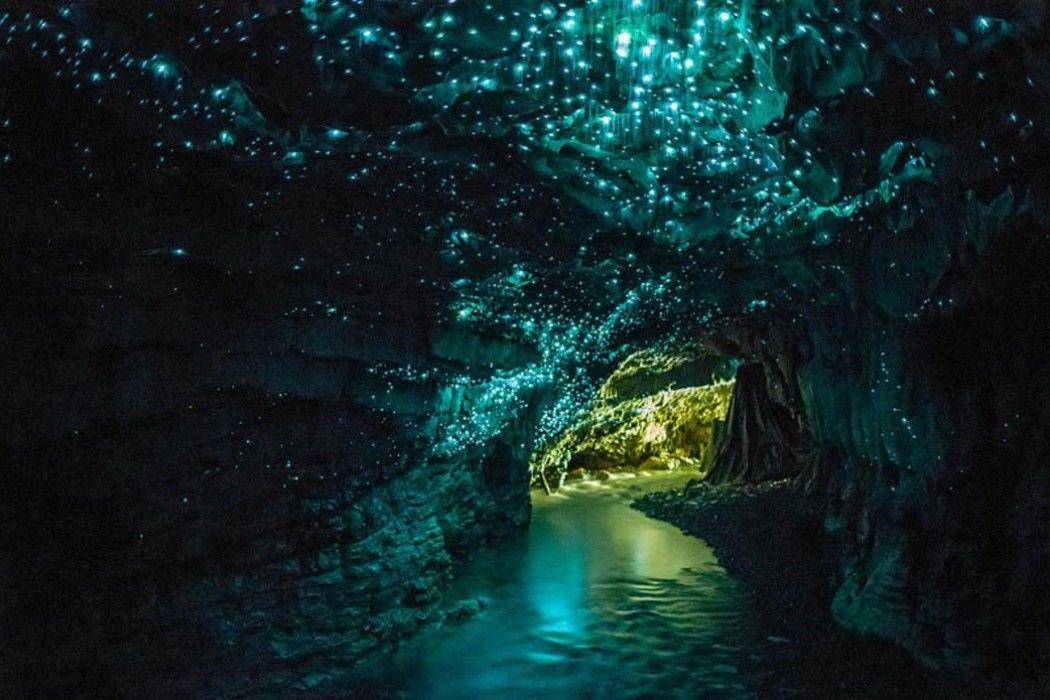 cave.shineball.co