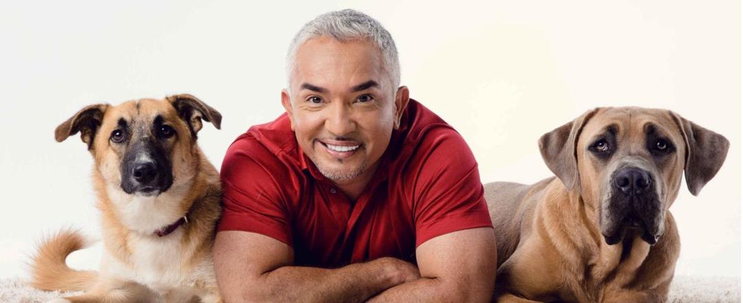 Mengenal Cesar Millan, Pelatih Anjing Paling Terkenal di Dunia