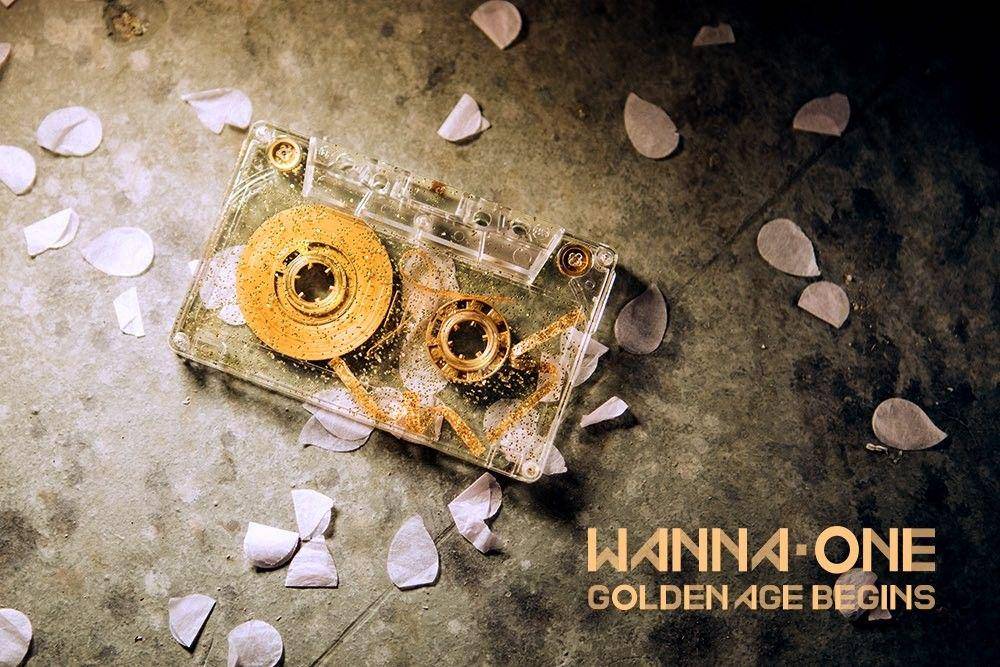 Instagram.com/wannaone.official