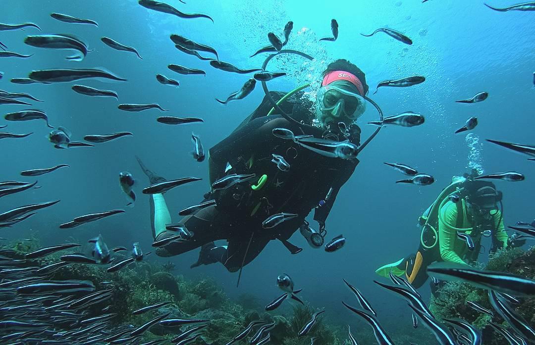 7 Pulau Terluar Indonesia: Jarang Dilirik, tapi Pesonanya Mendunia