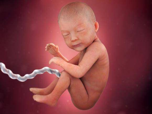 parentinghealthybabies.com