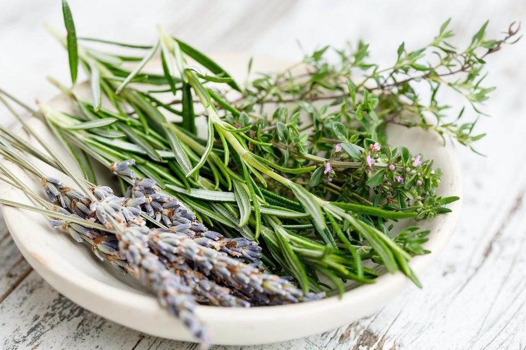 Wah, Ternyata 5 Tumbuhan Liar ini Tergolong Superfood Lho