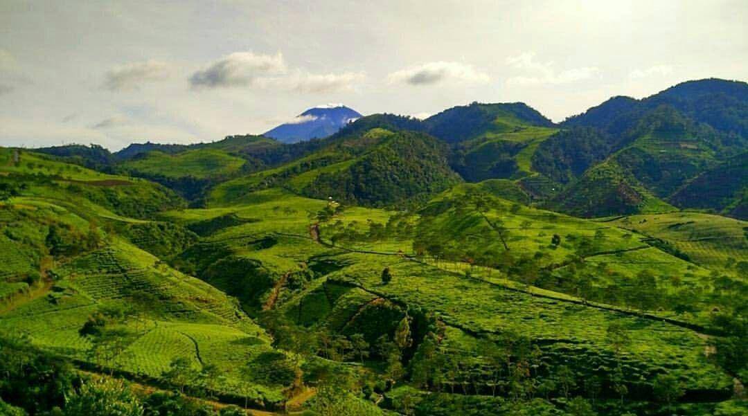 Instagram.com/explore_brebes