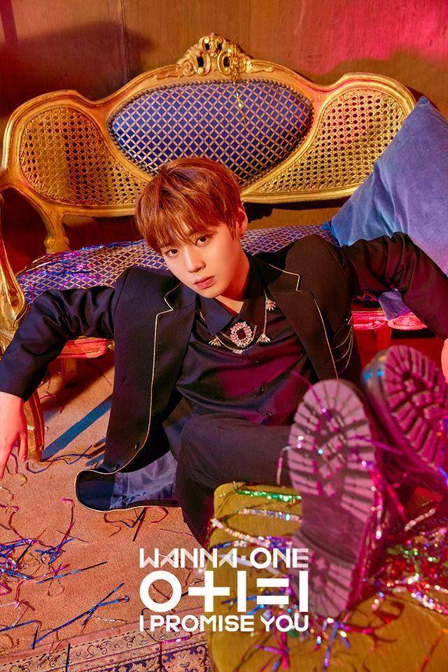 Instagram.com/wannaone.official