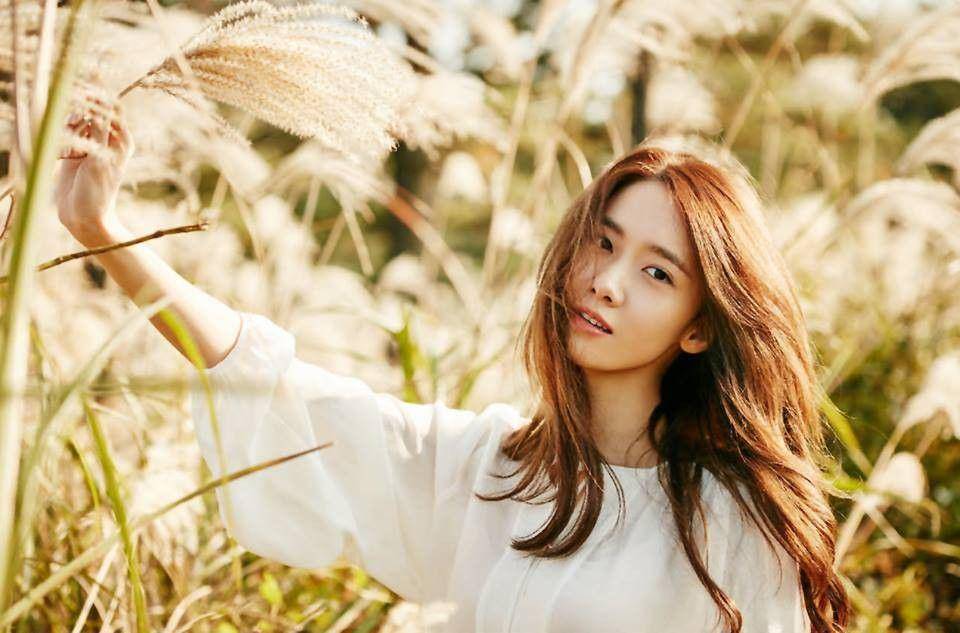 star.koreandrama.org
