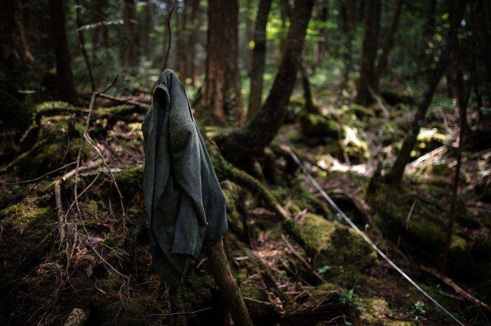 Nicholas Datiche/Photoshelter.com