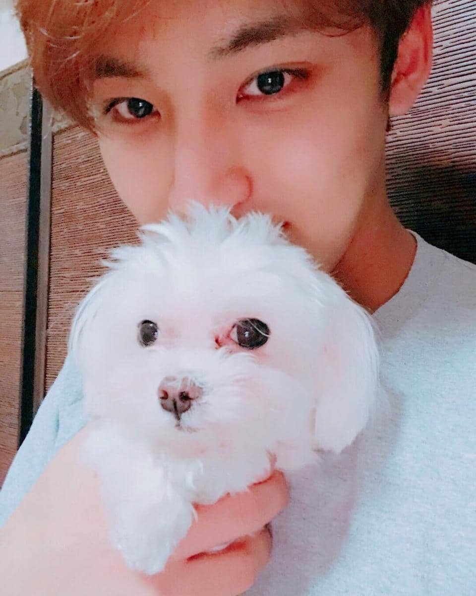 instagram.com/min9yu_k