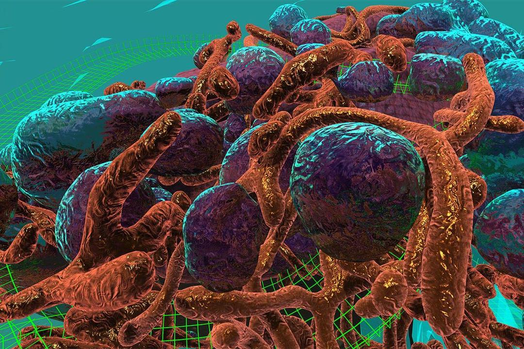 newscientist.com