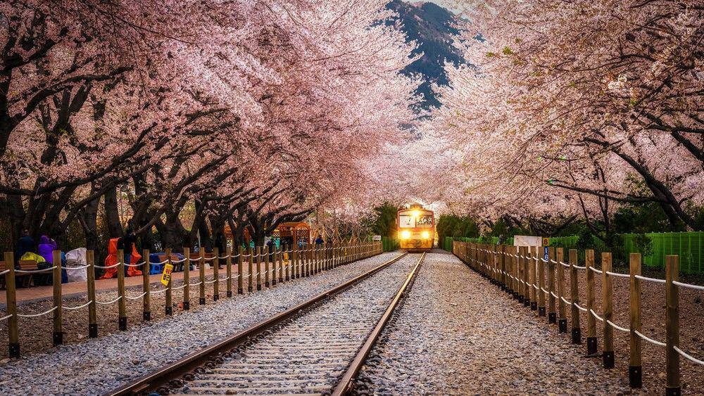 havehalalwilltravel.com