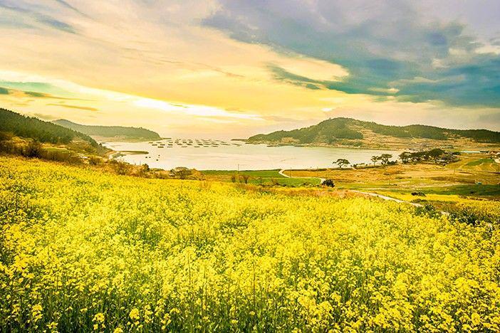 english.visitkorea.or.kr