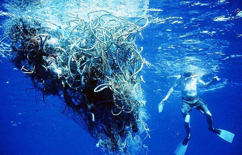 plastic-waste-pollution.weebly.com