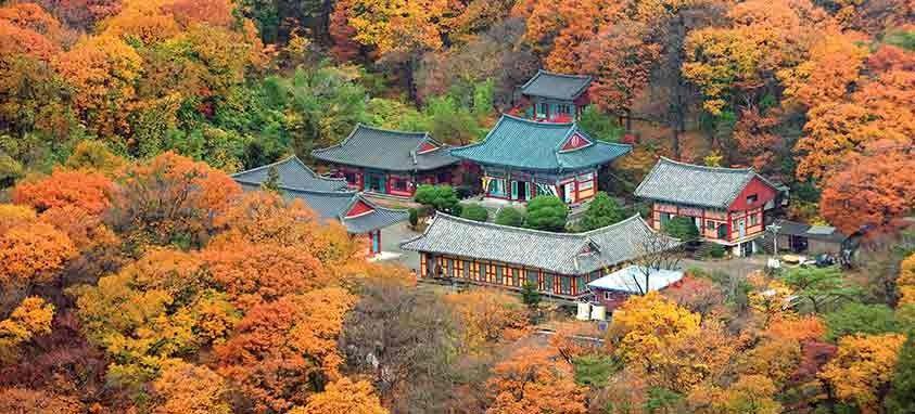 10 Alasan Kamu Wajib Kunjungi Busan Ketika Traveling ke Korea Selatan
