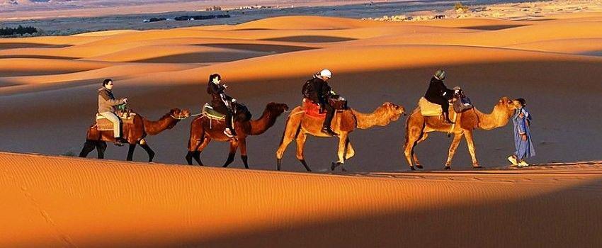 Wilayah Gurun Sahara Diketahui Meluas hingga 10 Persen