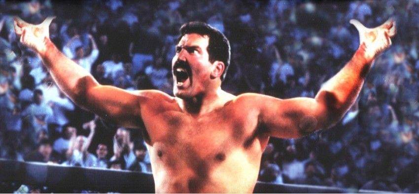 dansevern.com
