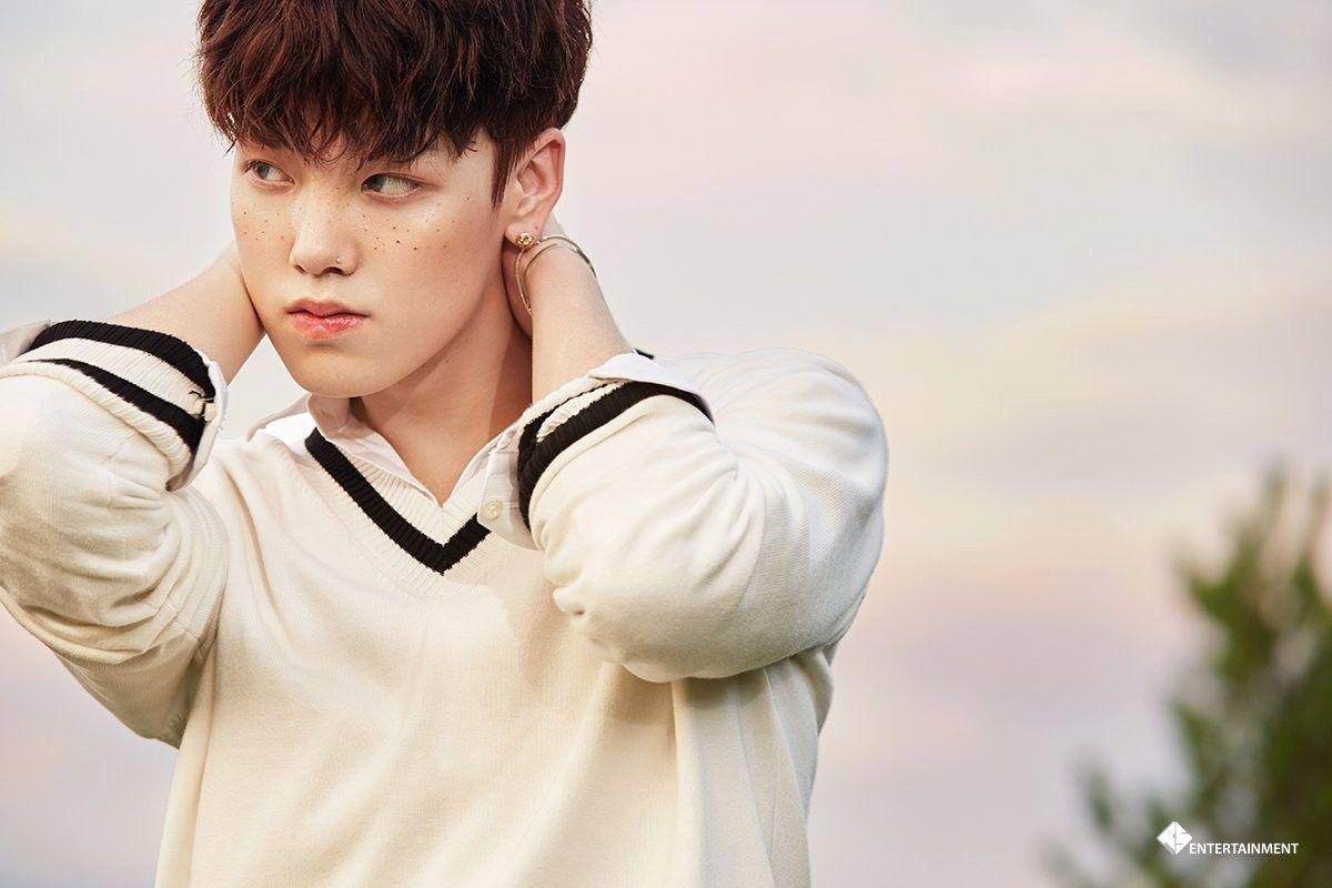 OneStopKpop