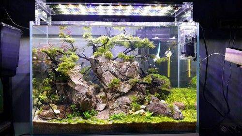aquajaya.com