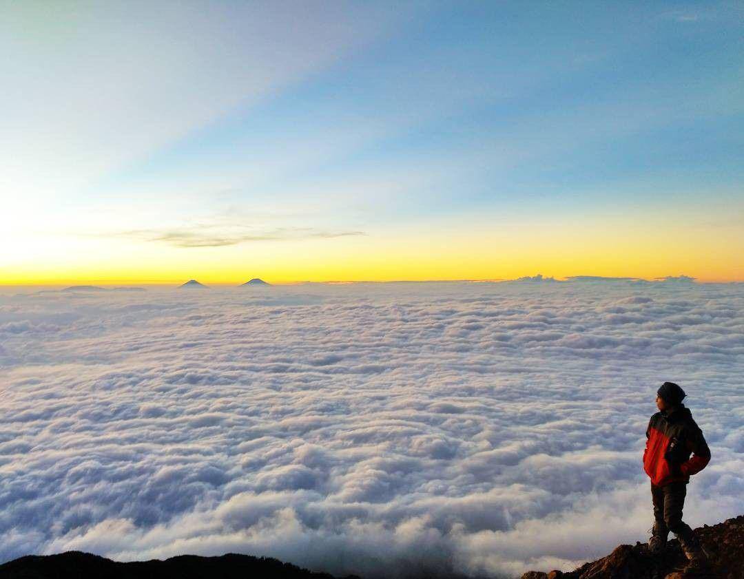 backpackerjakarta.com