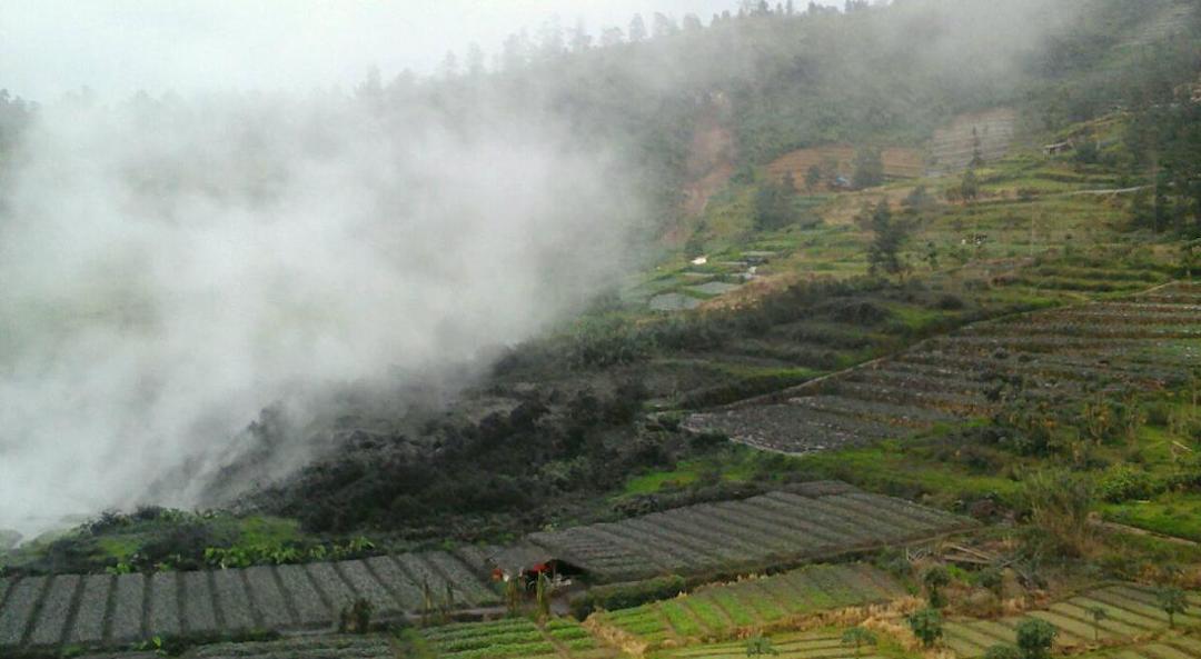 Kawah Sileri Dieng Meletus, Wisata Kawasan Dieng Tetap Dibuka