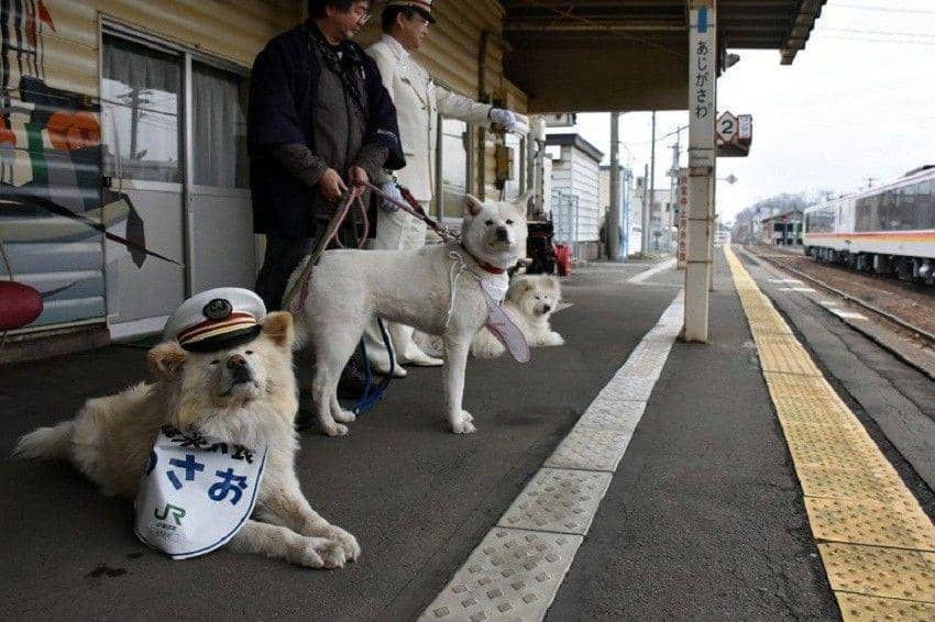 twitter/@themainichi