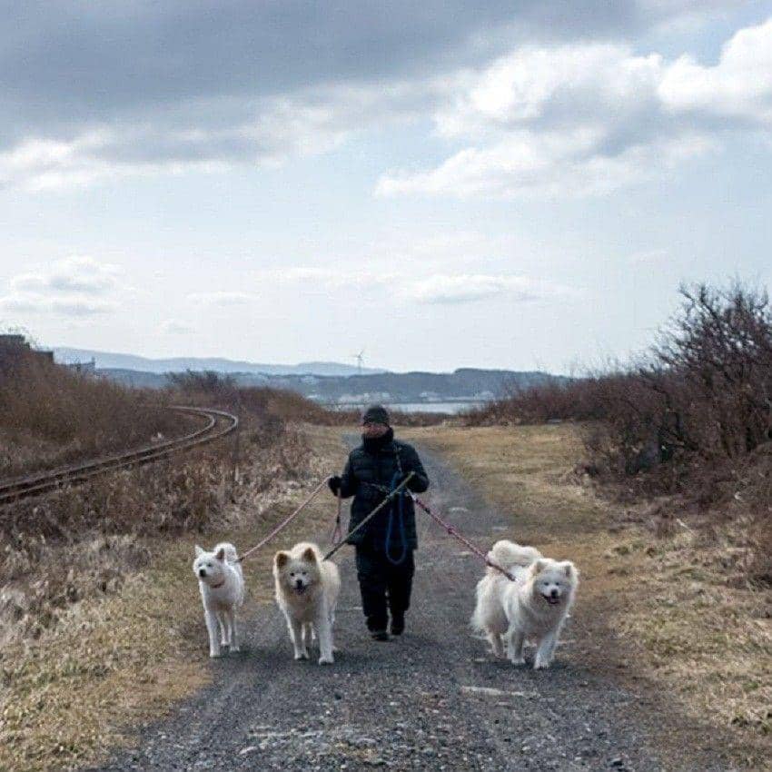 twitter/@WASAO_official