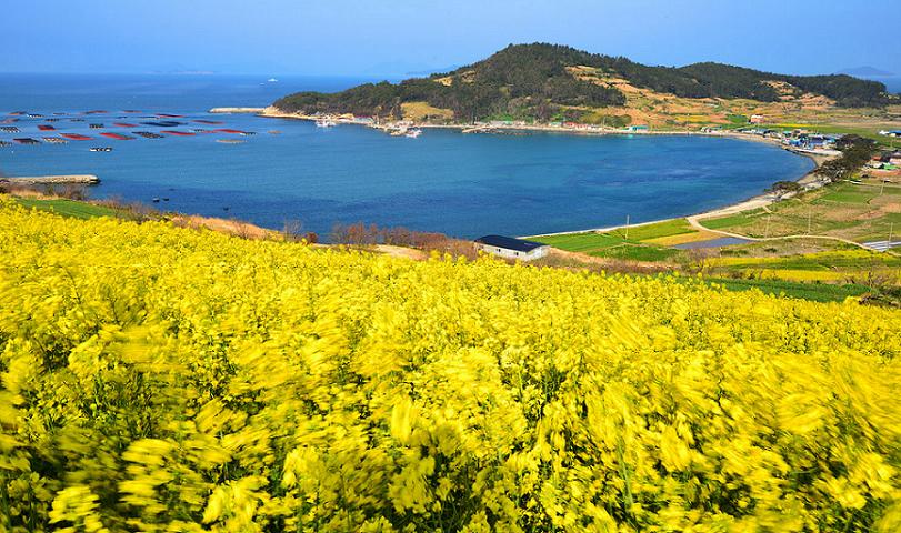 Sayang Dilewatkan, Ini 8 Pulau di Korea Selatan yang Viewnya Indah