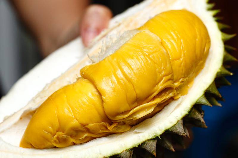 ilustrasi durian musang king (worldofbuzz.com)