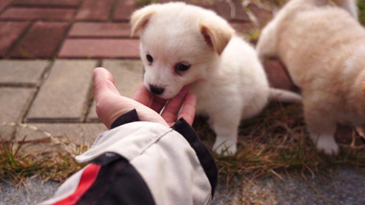 Youtube.com/장인철