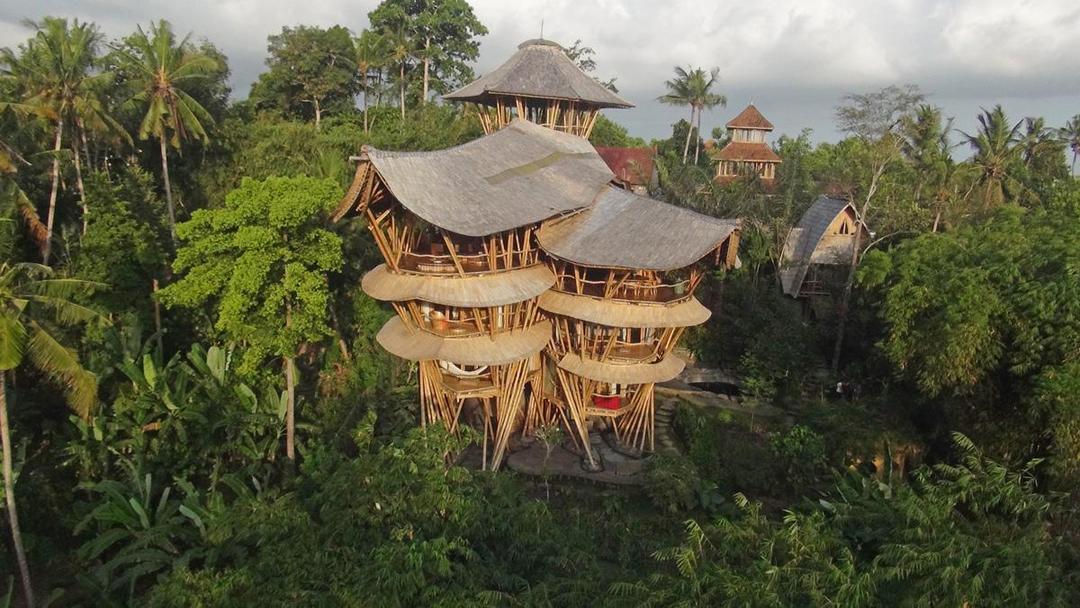 9 Rumah Pohon Unik yang Wajib Masuk dalam List Liburan, Seru!