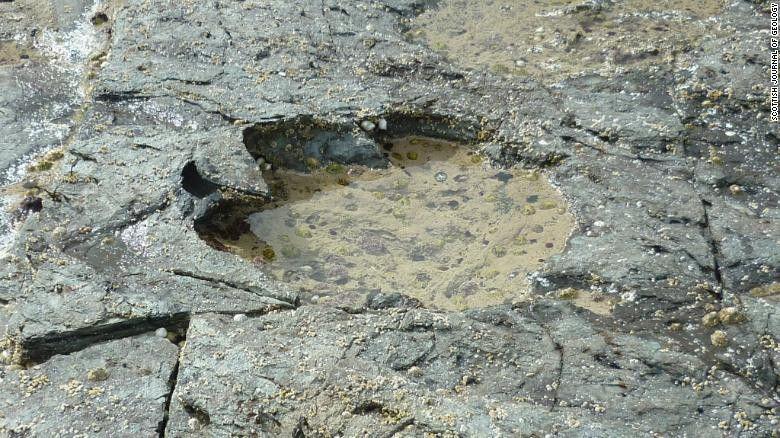 Wow, Jejak Kaki Dinosaurus Ditemukan di Pesisir Skotlandia