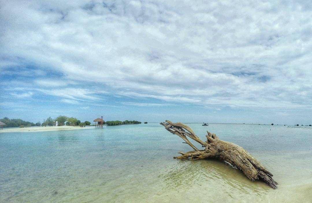Pulau pari