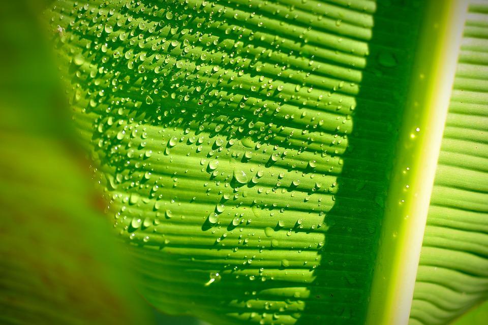 pixabay.com