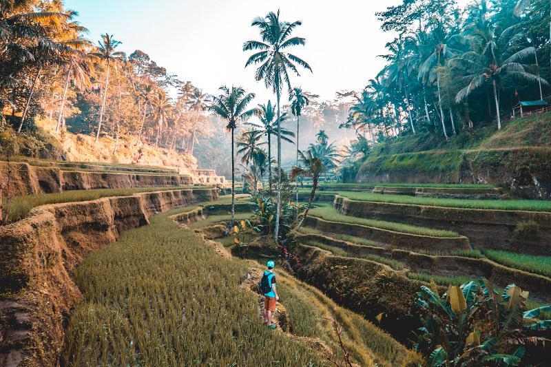 Photo by Instagram.com/jamie_fenn on Unsplash