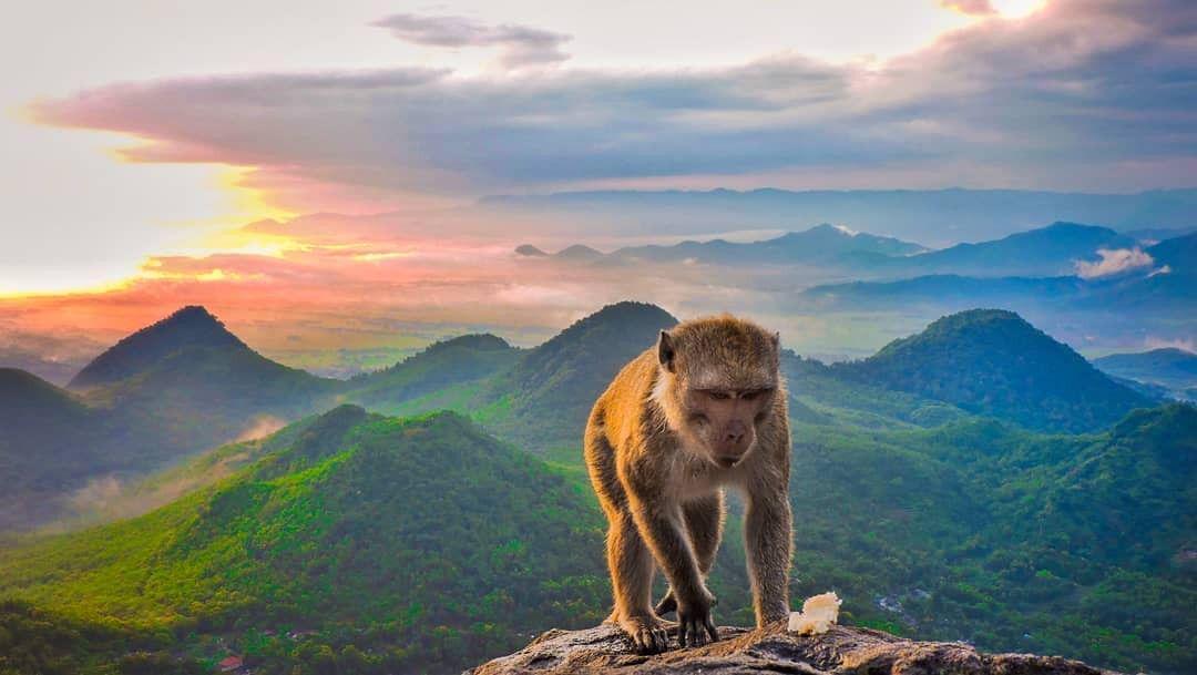 7 Sudut Paling Instagramable Kota Solo yang Bikin Fotomu Hits Banget!